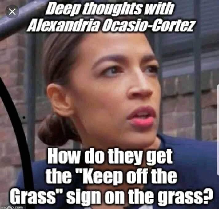 Alexandria Ocasio-Cortez - Page 4 58234_gxdd9jh8gdx66mx_full