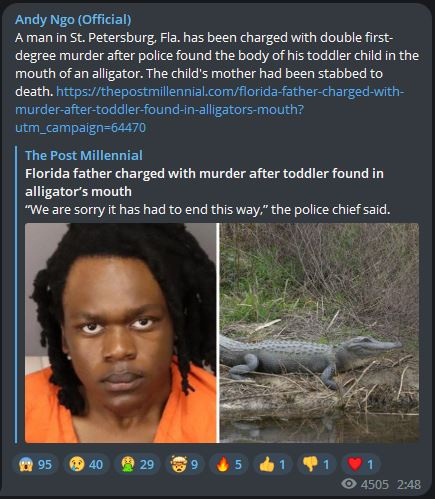 The Adventures of Florida Man - Page 9 75245_ou6xoffq8yv4vxq_full